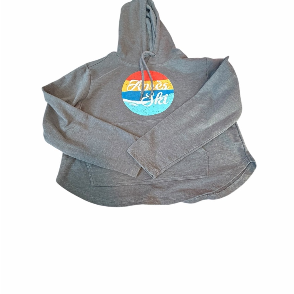 Apress Ski Hoodie Sweatshirt Gray Retro Graphic | Size P/S